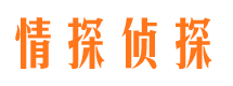 江城私人侦探